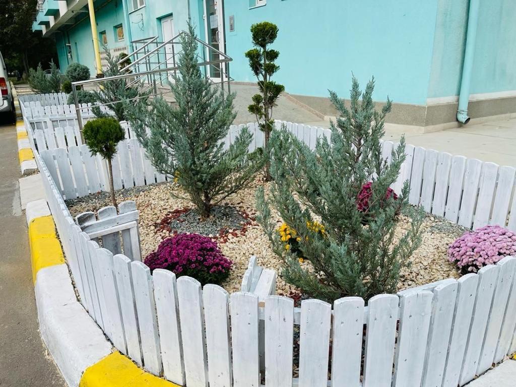 Maria Summer Apartaments Mamaja Zewnętrze zdjęcie
